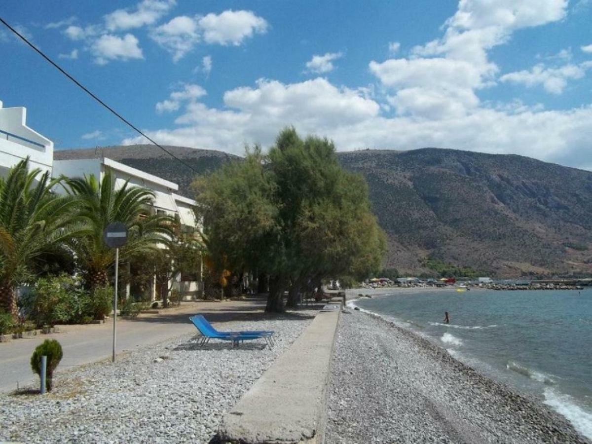Luxury Seafront House Nearby Delphi Lägenhet Kirra Exteriör bild