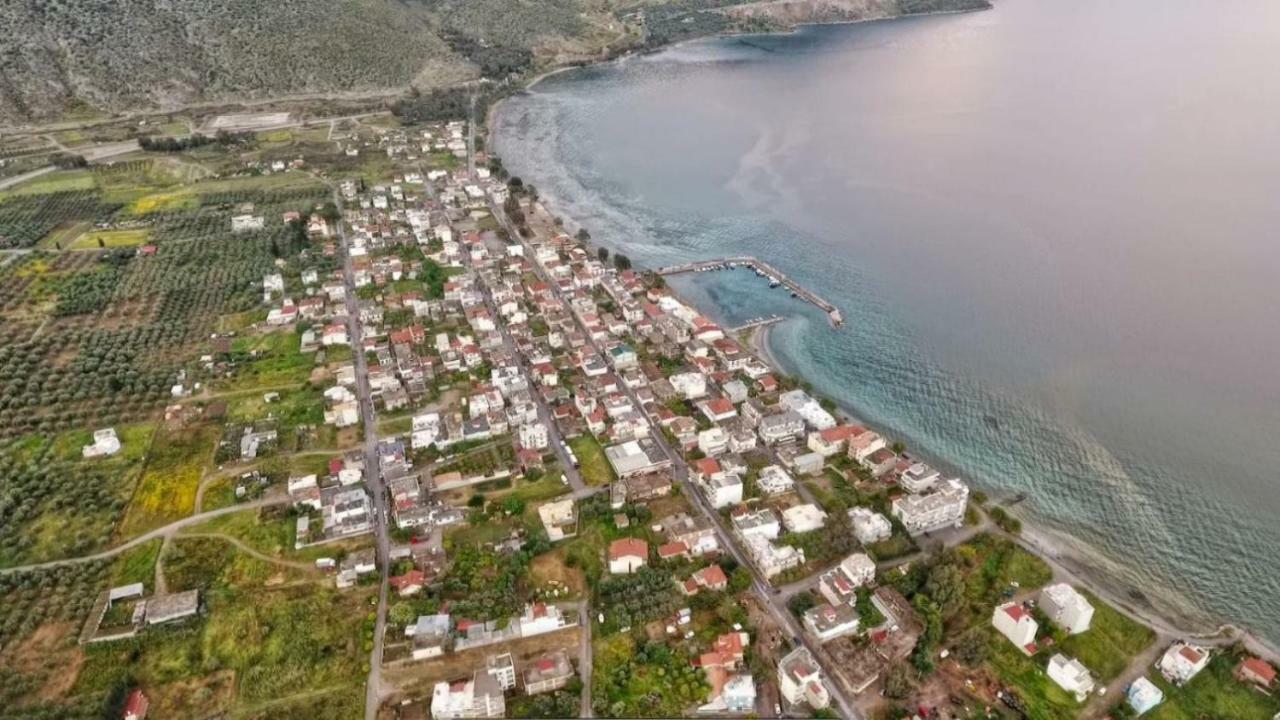 Luxury Seafront House Nearby Delphi Lägenhet Kirra Exteriör bild